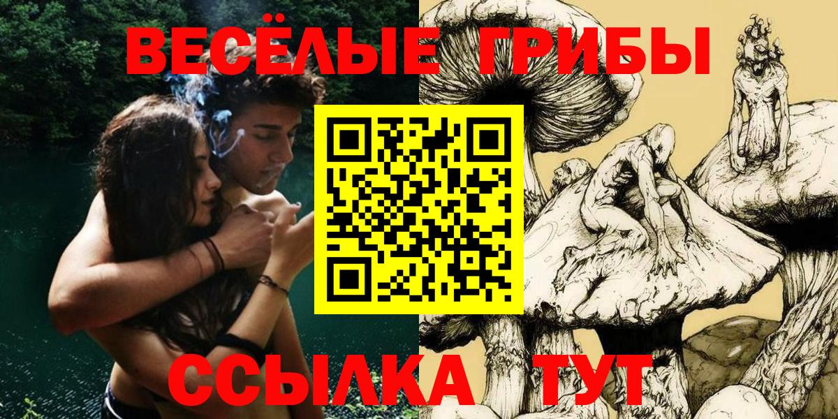 Псилоцибиновые грибы MAGIC MUSHROOMS  Псилоцибиновые грибы GOLDEN TEACHER  Коммунар  Вход с VPN 
